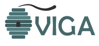 Cloud VIGA